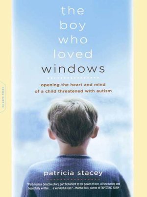 cover image of The Boy Who Loved Windows